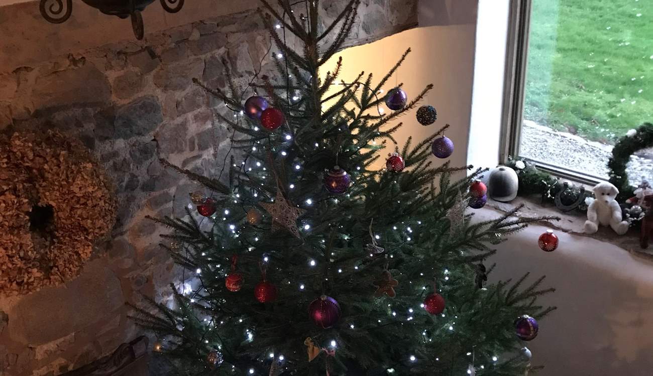 Rydon is the perfect Christmas retreat.