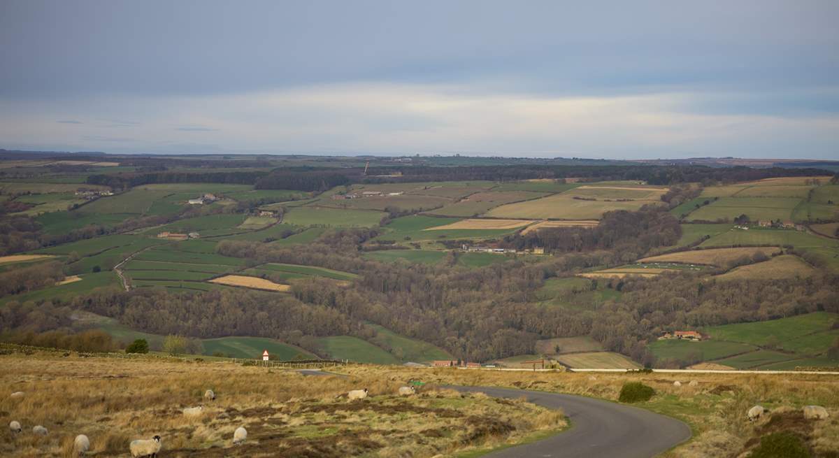 The North Yorkshire Moors National Park in all its glory.