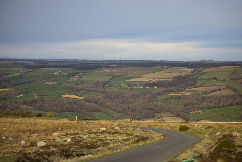 The North Yorkshire Moors National Park in all its glory.