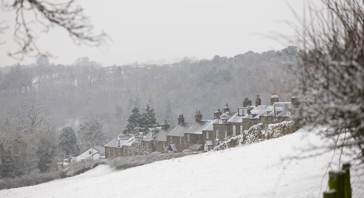 Snow on the hills.