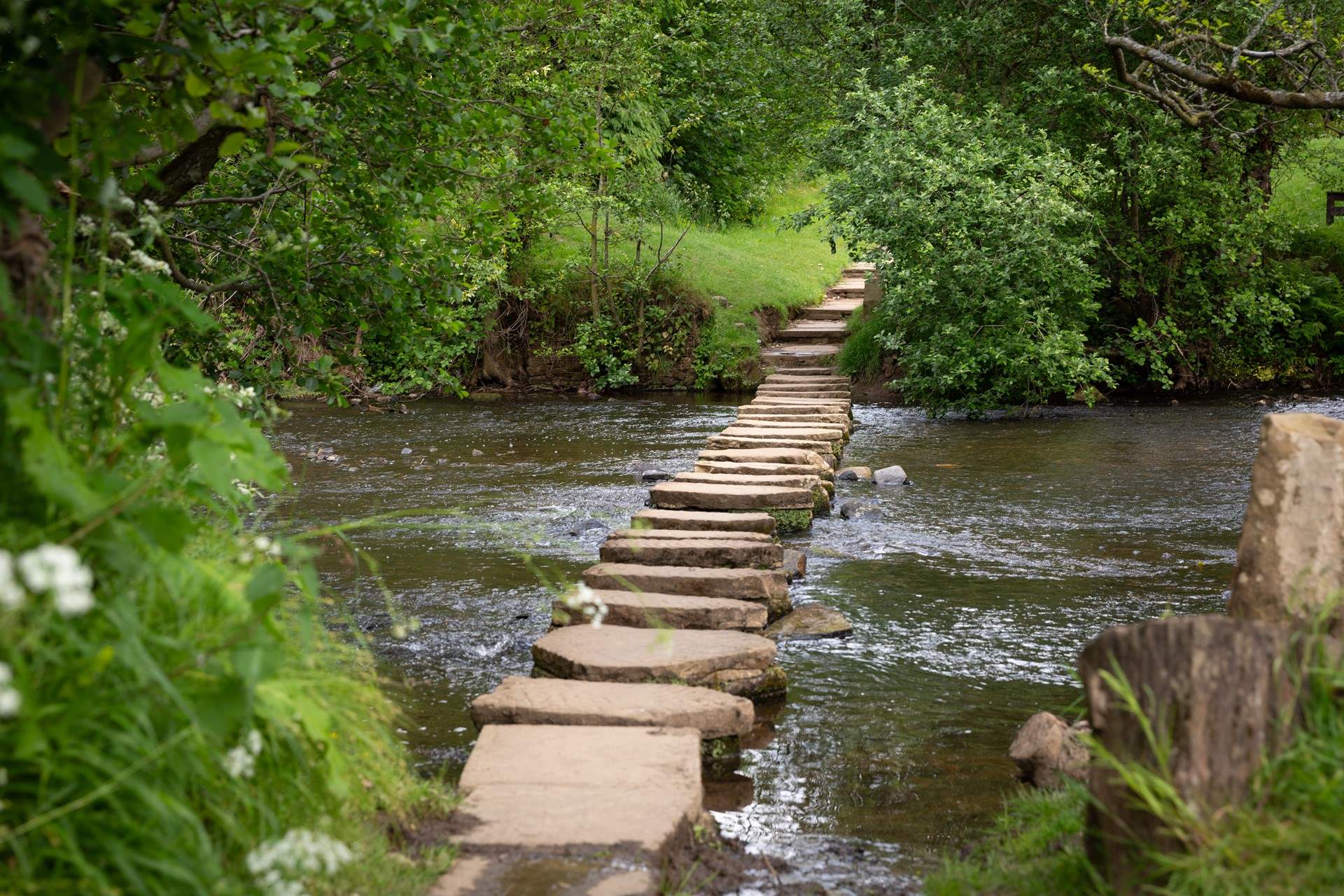 Take a walk across the stepping stones at Lealholm.