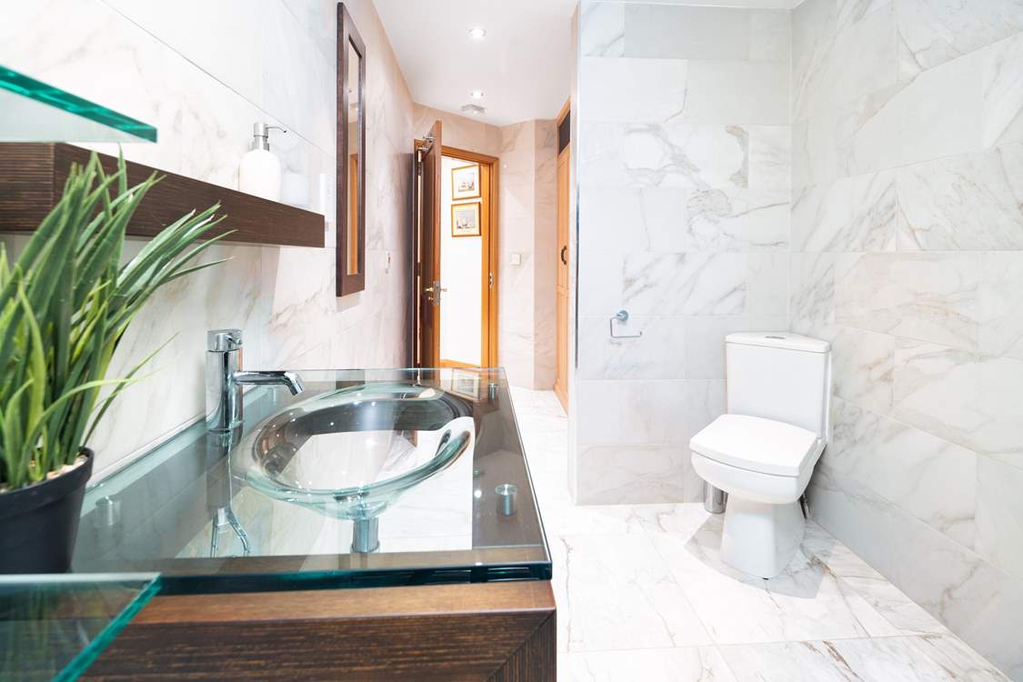 Sleek shower-room with designer wash-basin and hydro-massage steam shower.