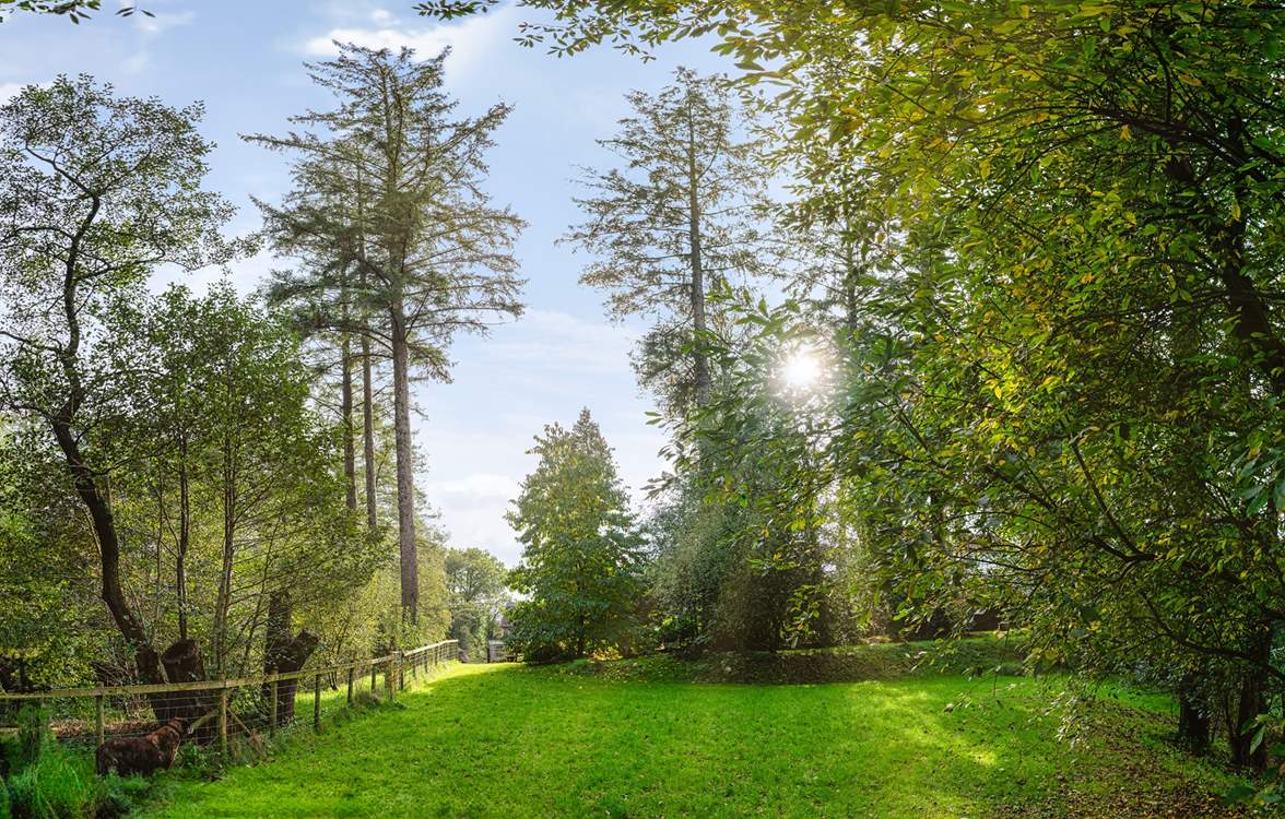 Follow the stream in the enchanting gardens.