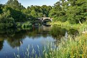 Take the enchanting walk to Cenarth Bridge.