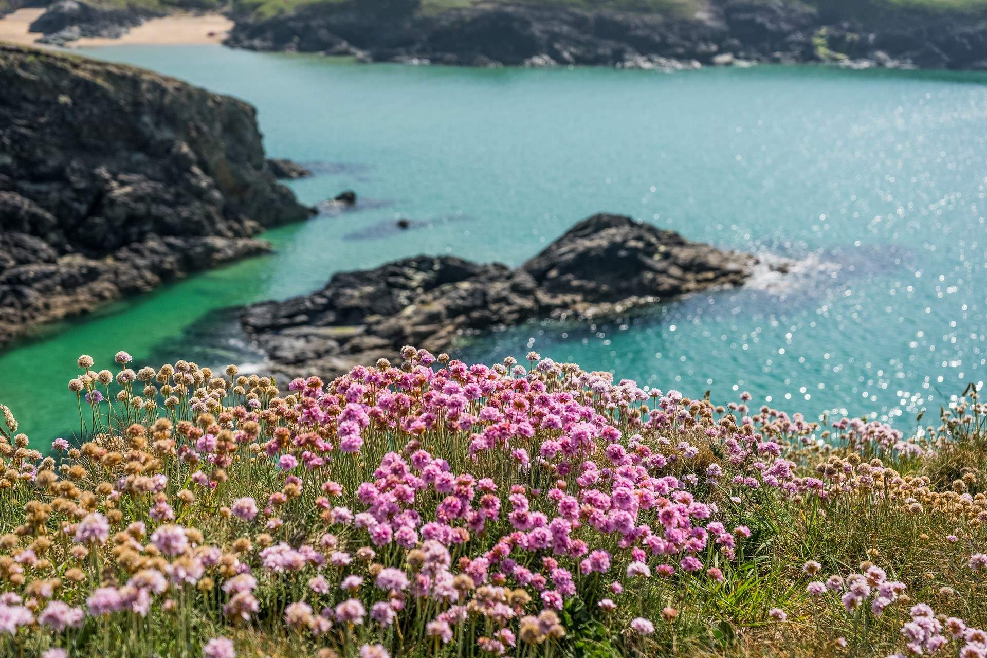 Old Kiddlywink is very dog friendly. You can enjoy exploring the local coast paths with your four legged friends in tow. 