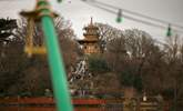 Visit Peasholm Park and the boating lake. - Thumbnail Image