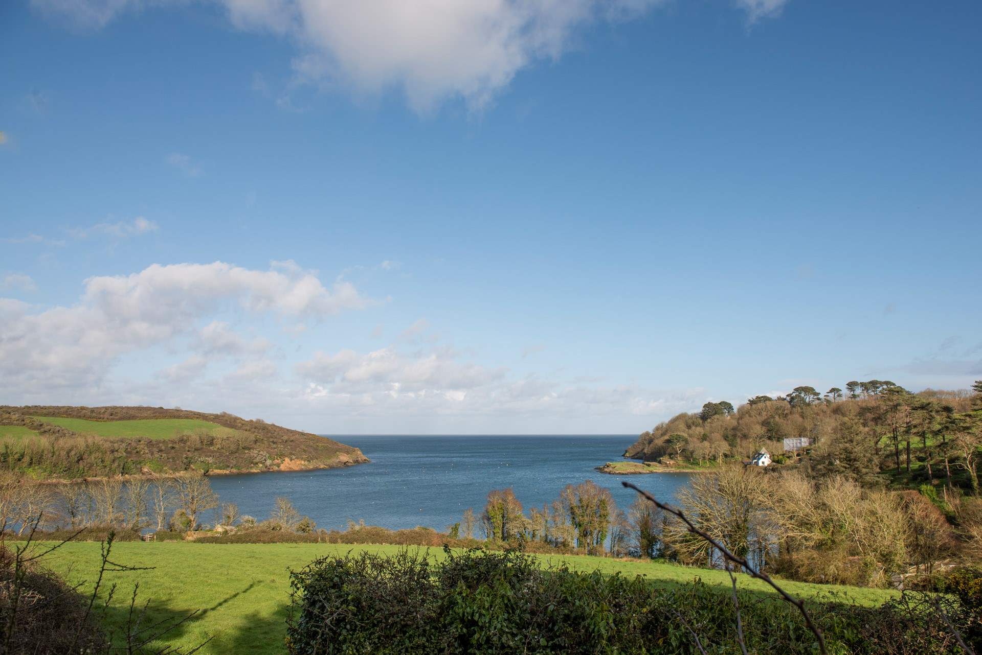 Mesmerising scenes from the front lawn.
