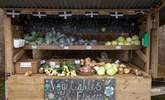 The honesty vegetable cart at Gear Farm. - Thumbnail Image