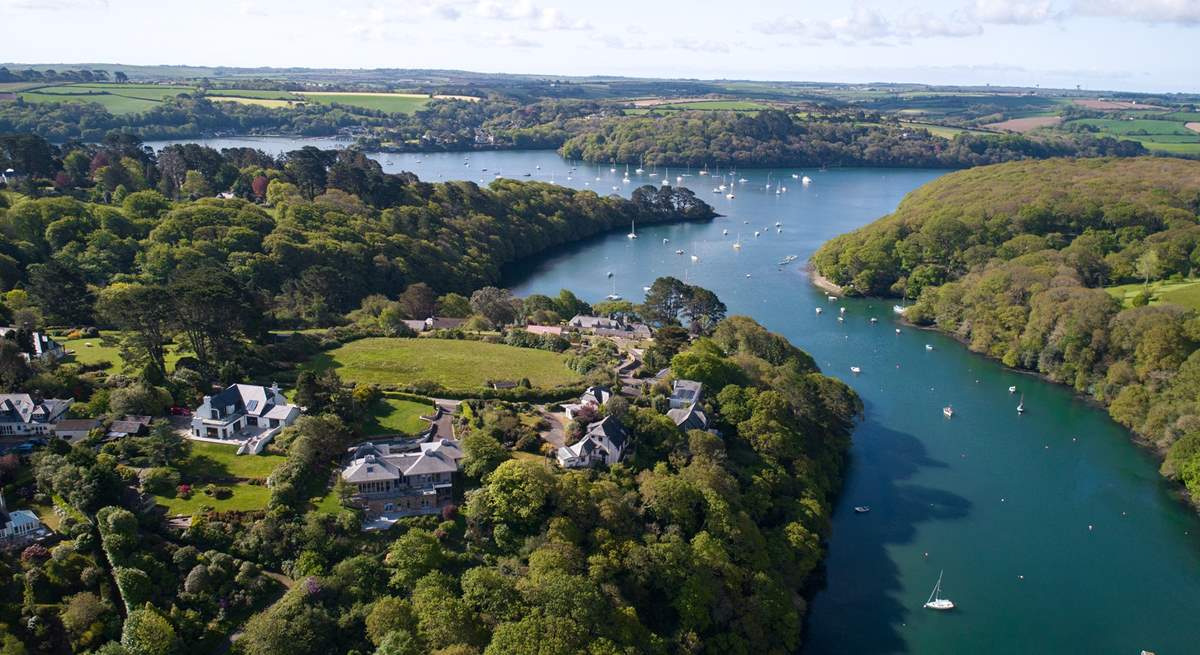 The Helford River is one of the few rivers in the UK, lined with magnificent oaks.