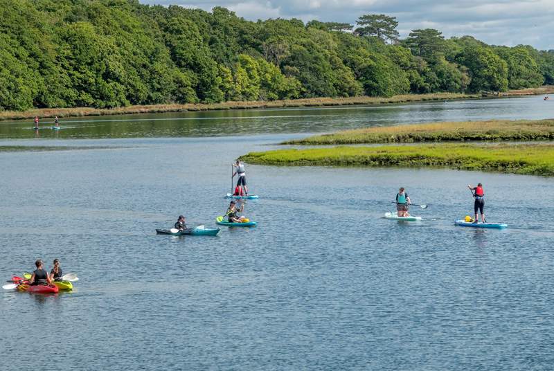 The beautiful Hamble River upstream from Myrtle Cottage. You can hire paddle boards and kayaks locally and start your days adventure from the cottage.