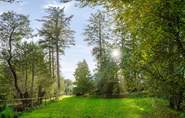 Take time out in the enchanting garden and heavenly woodland.