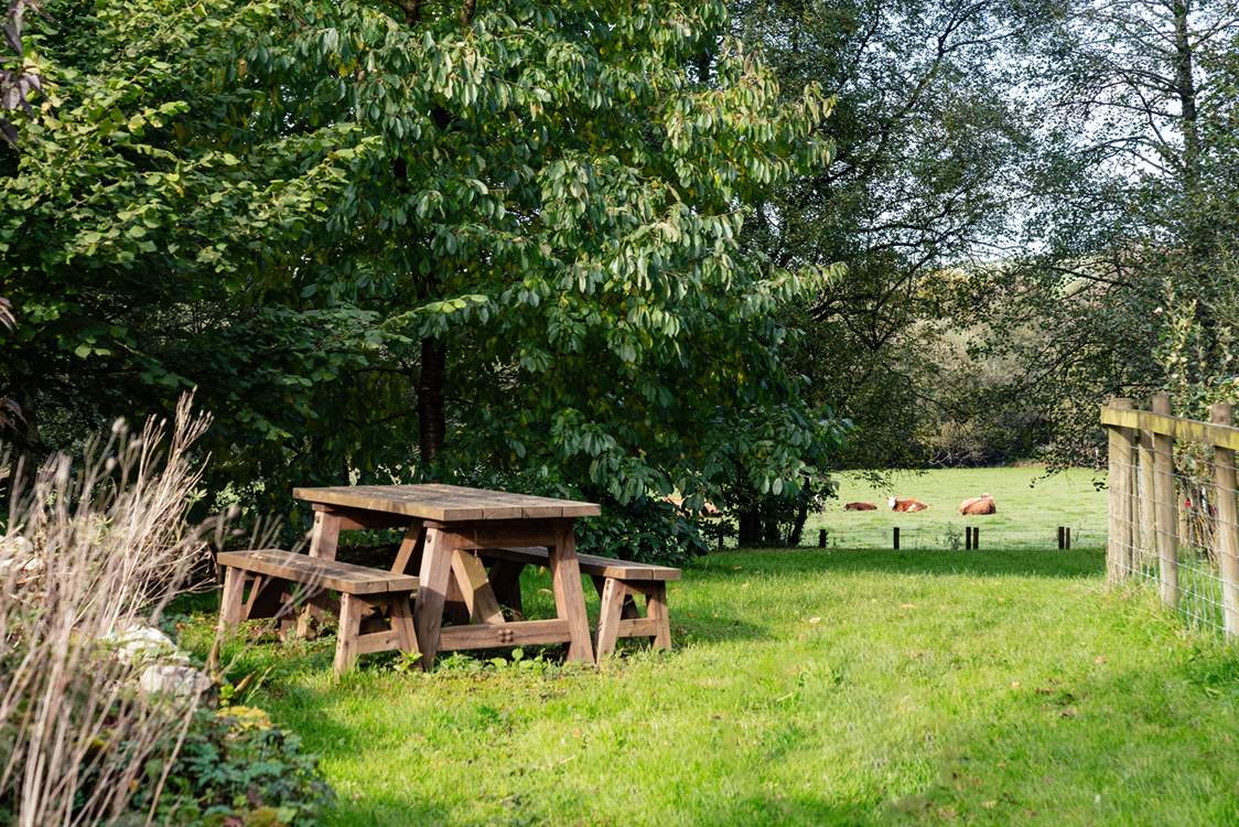 Perfect for a picnic or a sunny breakfast. Star gaze from here on a clear summer's night.