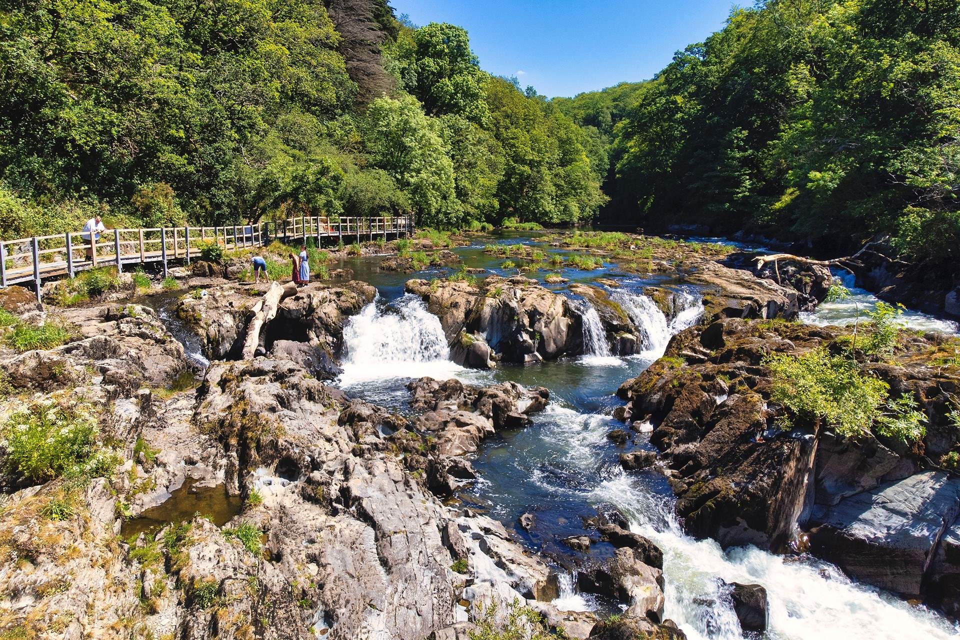 Just up the road, magical Cenarth Falls. 