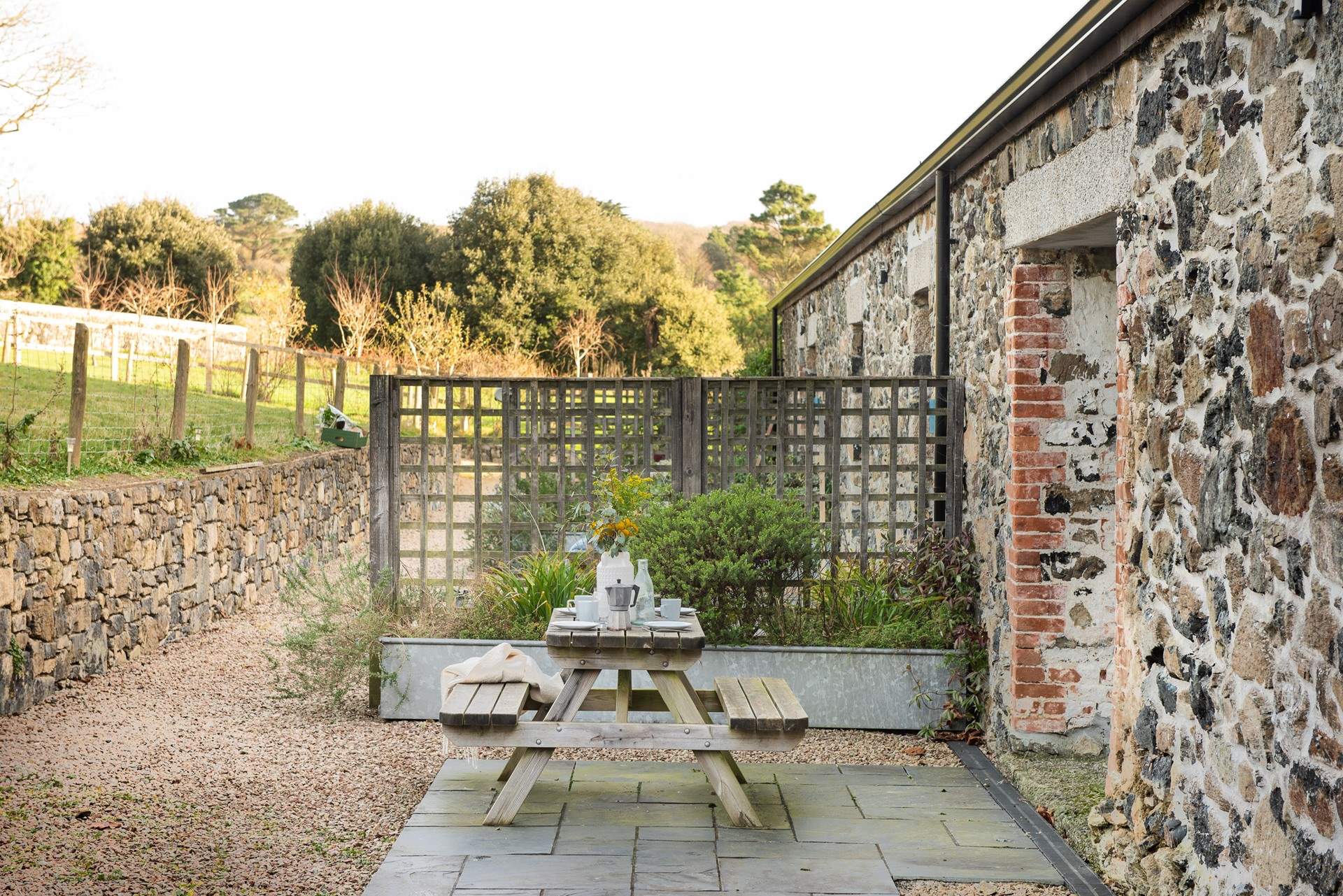 You will find fresh and thriving rosemary growing by the trellis. 