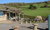 Grab a bite to eat at Sea Shanty Beach Cafe at Branscombe beach. - Thumbnail Image