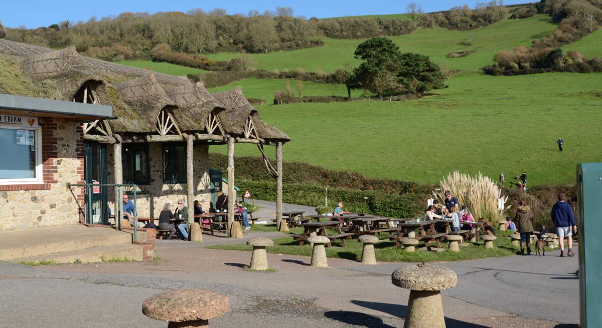 Grab a bite to eat at Sea Shanty Beach Cafe at Branscombe beach.