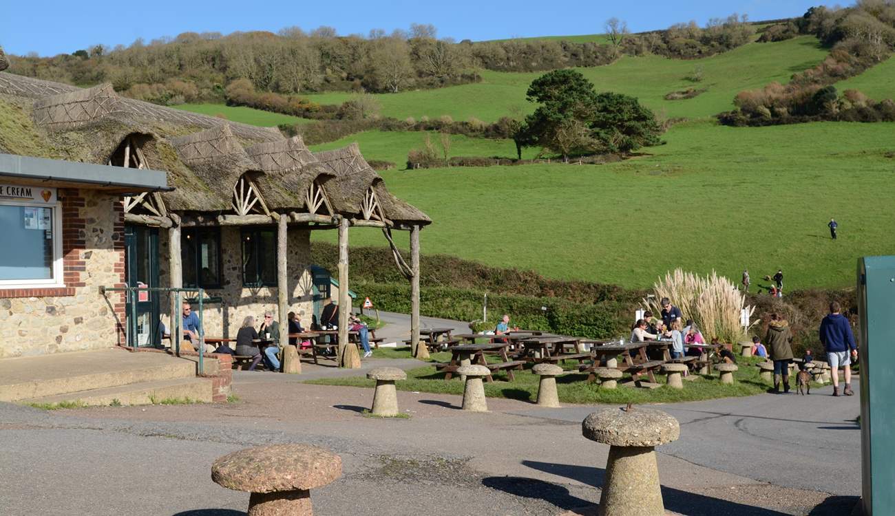 Grab a bite to eat at Sea Shanty Beach Cafe at Branscombe beach.