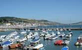 Lyme Regis has some great restaurants, cafes, and independent shops as well as a safe, sandy beach with SUP and kayak hire in the summer. - Thumbnail Image