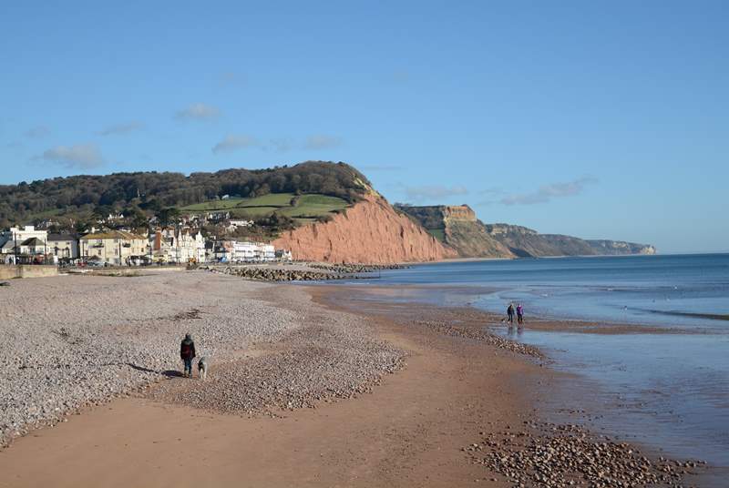 The Regency Sidmouth.