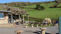 Sea Shanty Beach Cafe at Branscombe beach