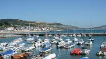 Lyme Regis has some great restaurants, cafes, and independent shops as well as a safe, sandy beach with SUP and kayak hire in the summer.