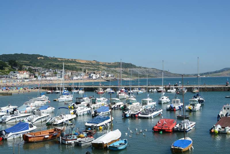 Lyme Regis has some great restaurants, cafes, and independent shops as well as a safe, sandy beach with SUP and kayak hire in the summer.