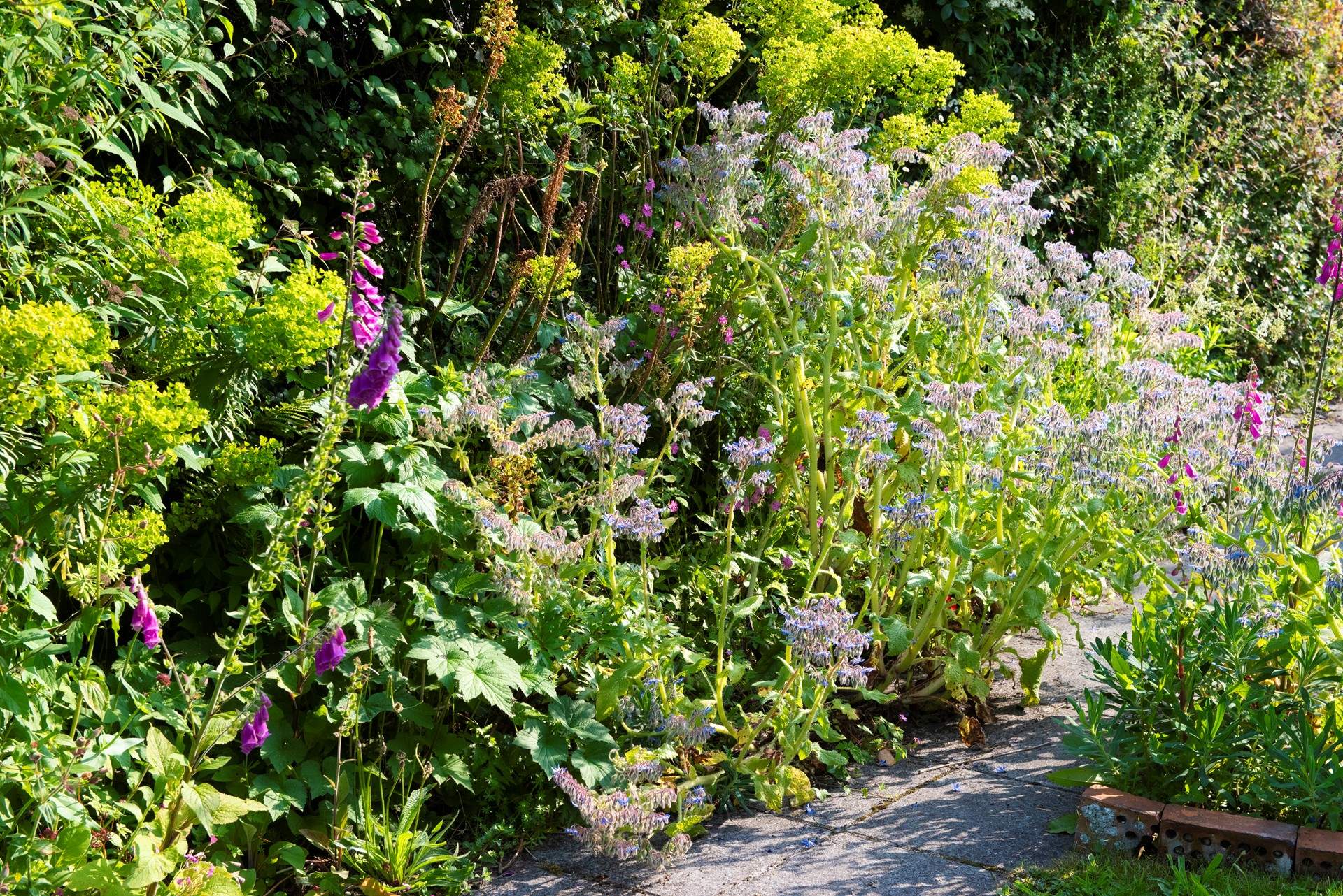 Gorgeous flora and foliage thrive here.