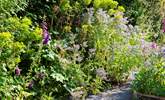 Gorgeous flora and foliage thrive here. - Thumbnail Image