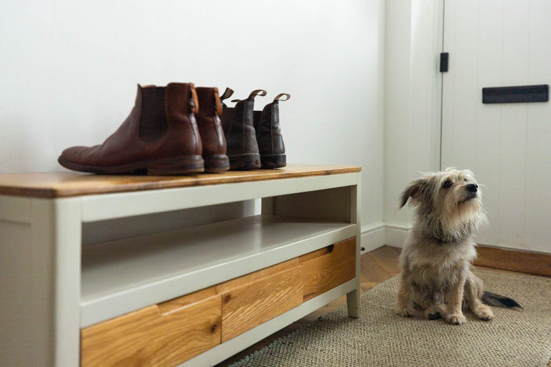 Your dog will enjoy scenic walks straight from the doorstep. 