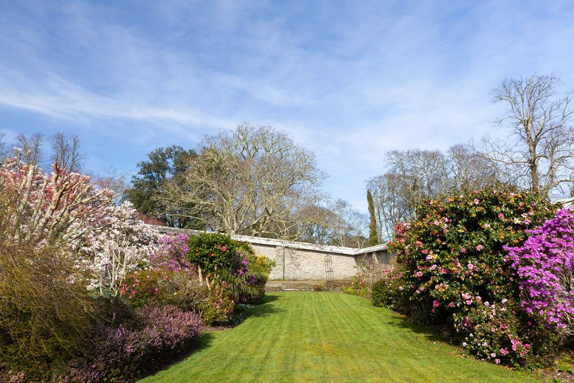 A plethora of colour in the walled garden.