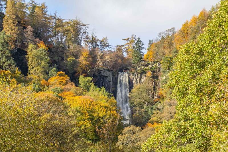 Pistyll Rhaeadr Waterfall is the highest waterfall in Wales and is just a few miles away from the cottage.