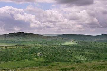 The moor above the cottage.