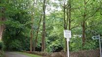 The private lane down to the cottages.