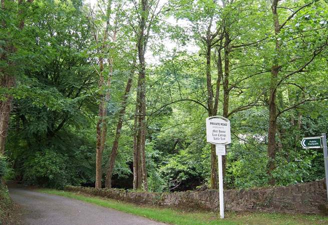 The private lane down to the cottages.