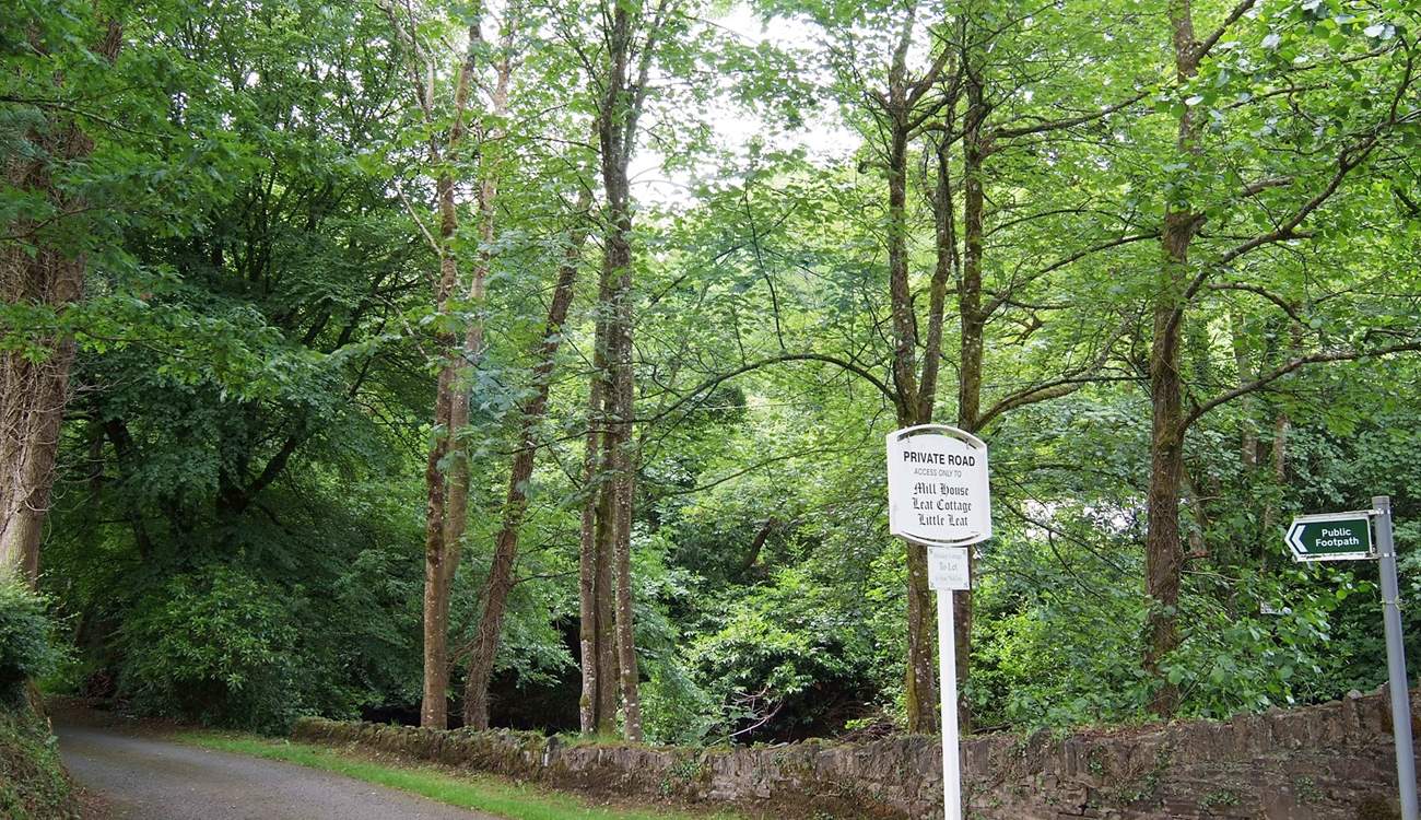 The private lane down to the cottages.
