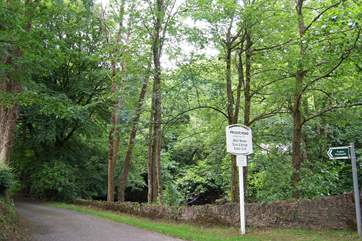 The private lane down to the cottages.