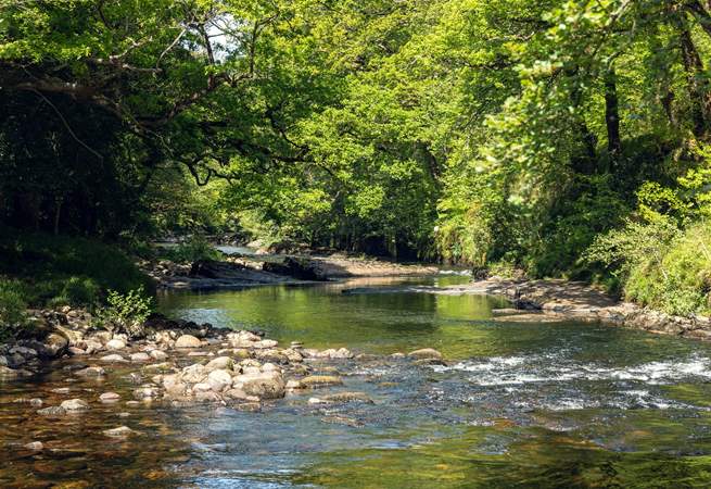 Lots of lovely places to explore on Dartmoor.