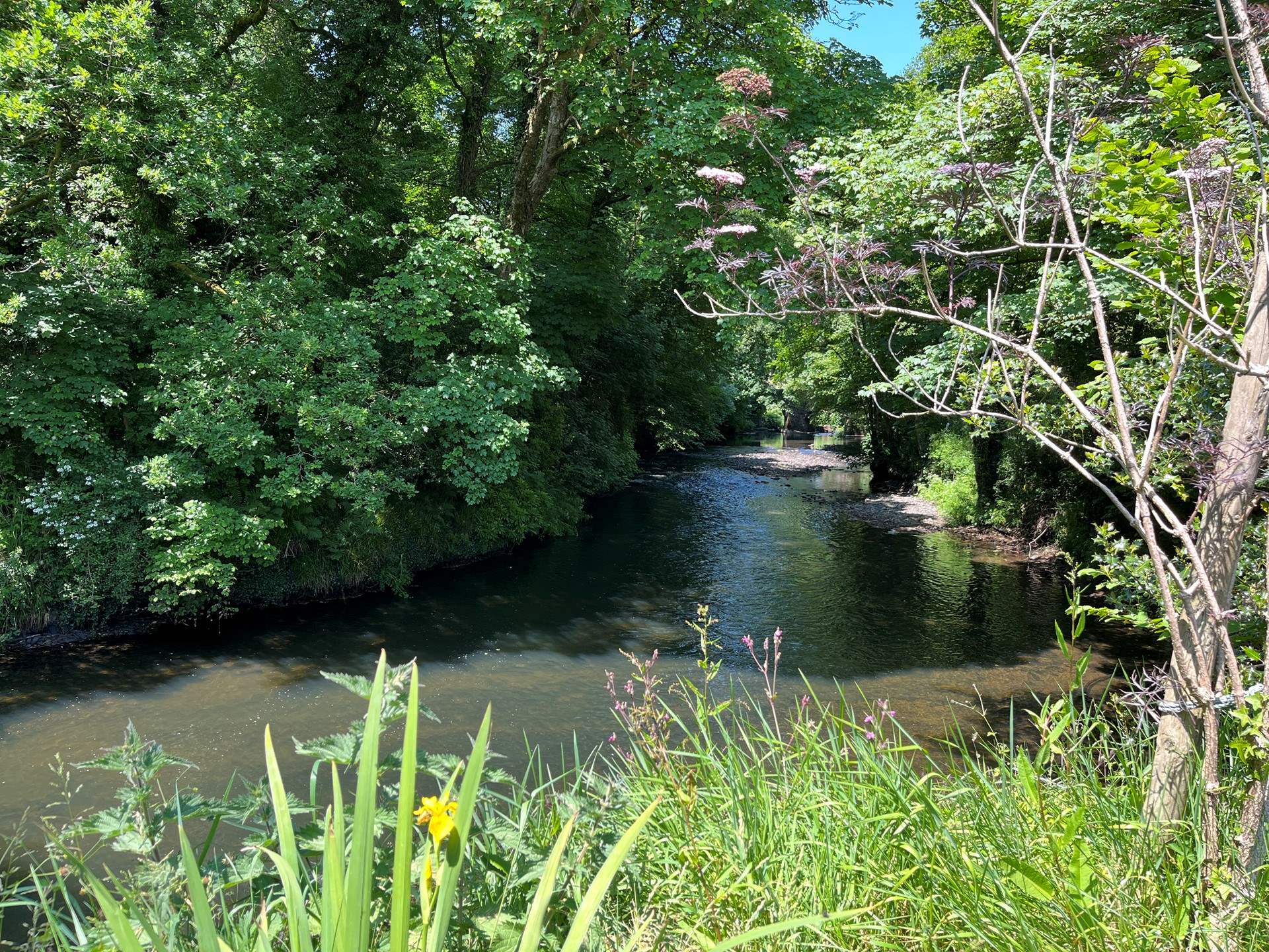 Follow the river up to the village, you might spot the odd wild swimmer or local kingfisher!