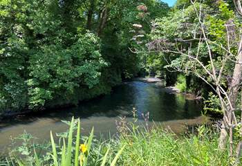 Follow the river up to the village, you might spot the odd wild swimmer or local kingfishe