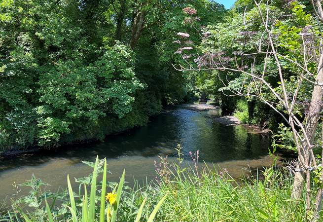 Follow the river up to the village, you might spot the odd wild swimmer or local kingfishe
