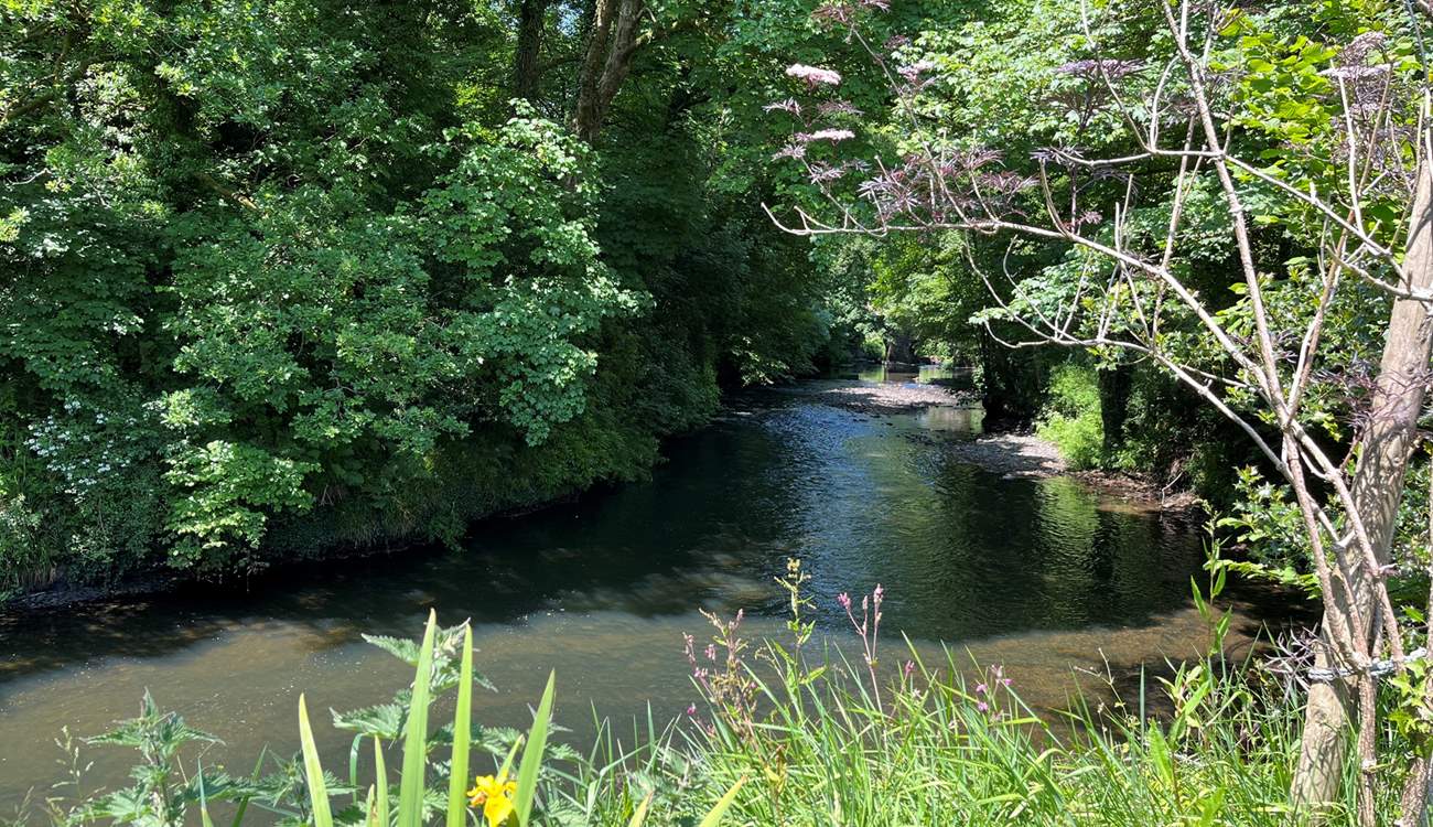 Follow the river up to the village, you might spot the odd wild swimmer or local kingfisher!