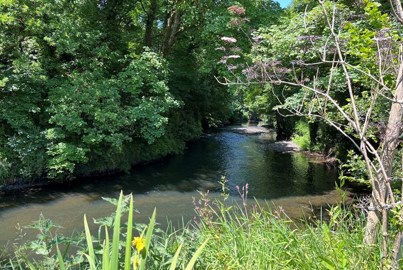 Follow the river up to the village, you might spot the odd wild swimmer or local kingfishe