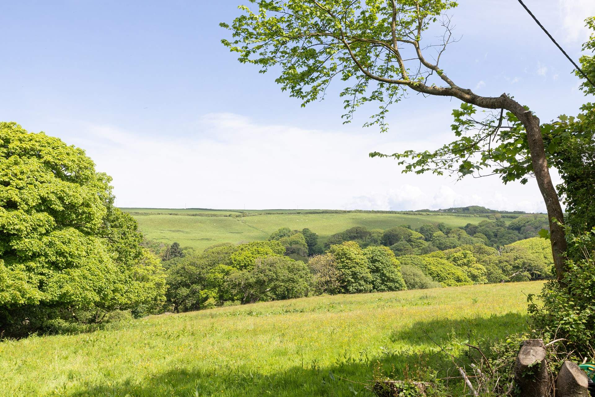 Views from the decking area.