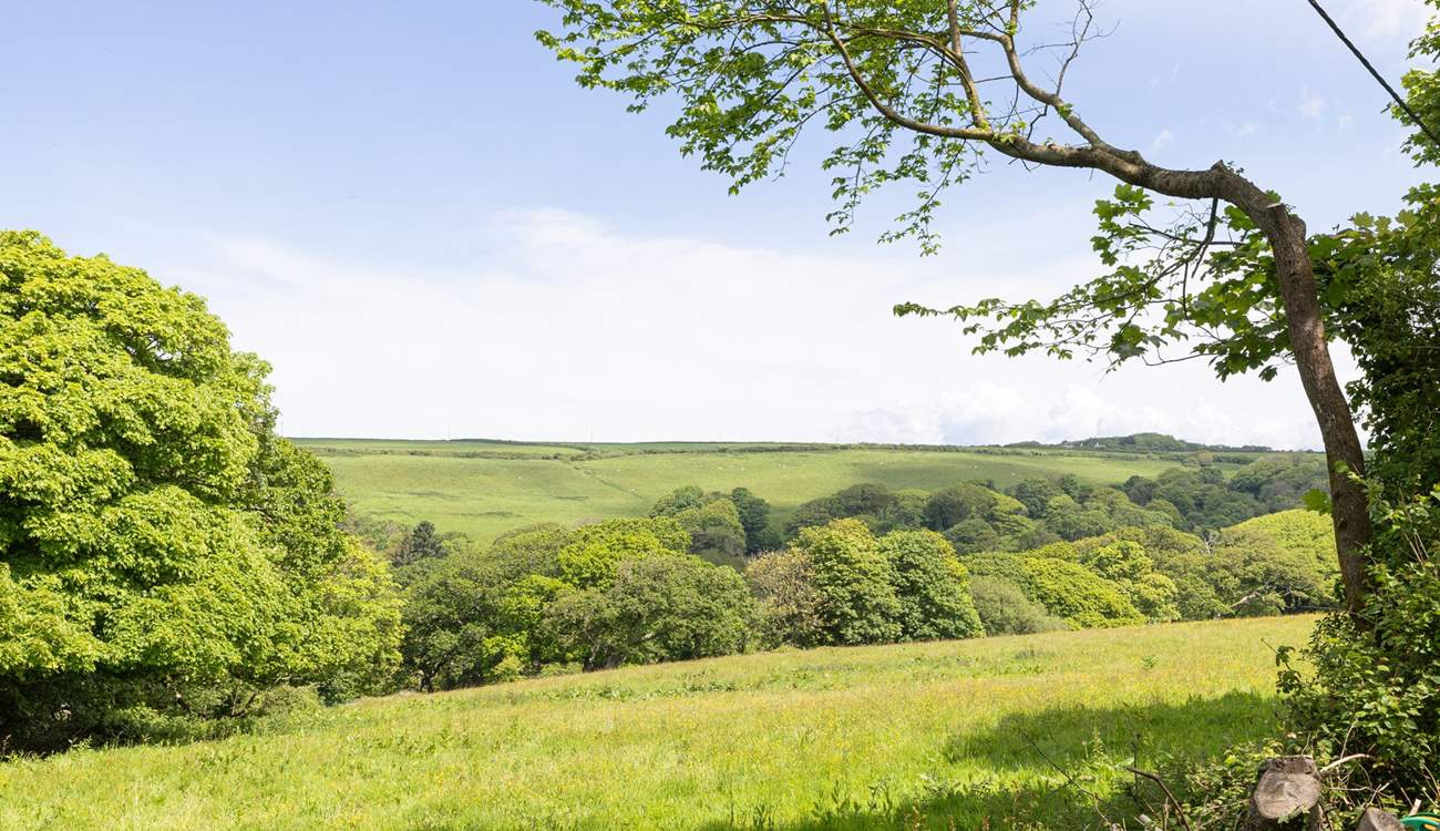 Views from the decking area.