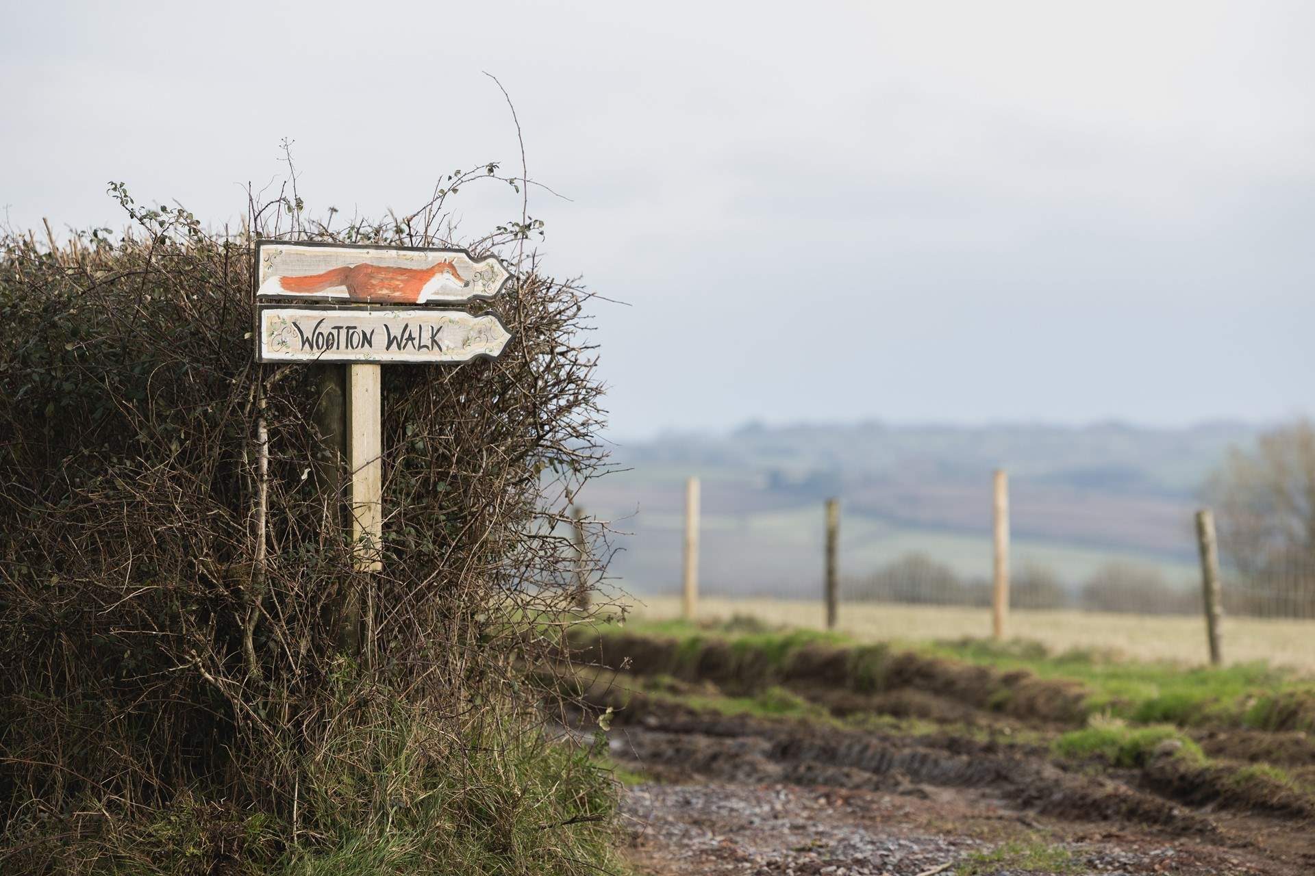 When you head down to the woods you're in for a big surprise .....