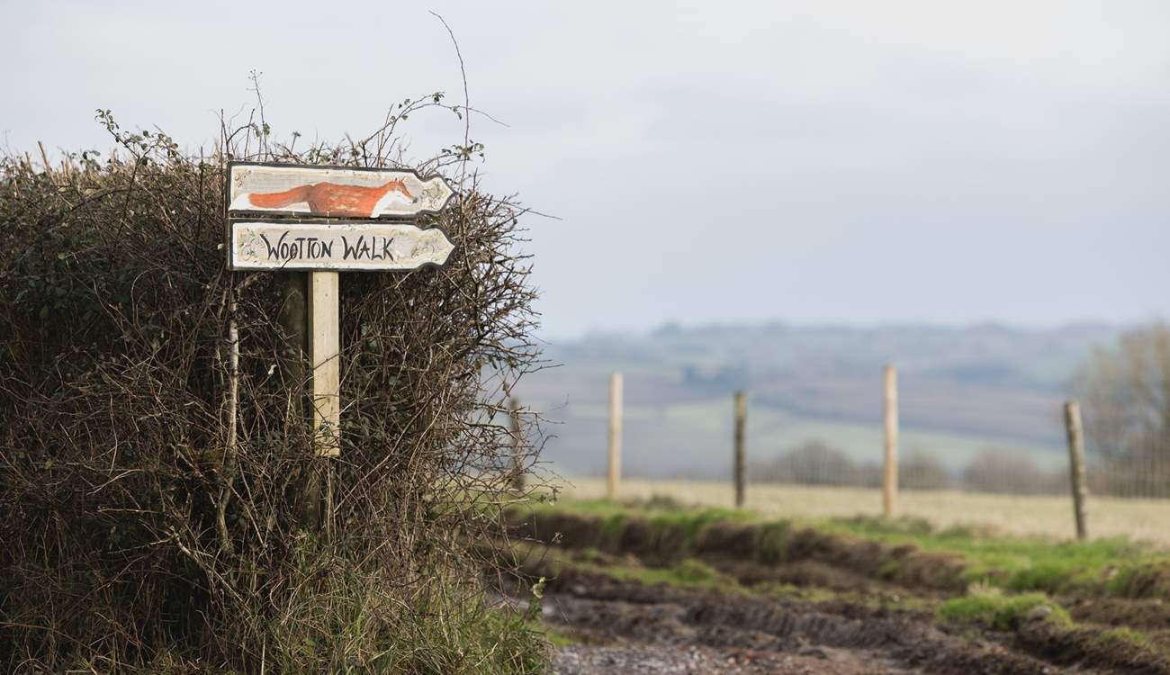 When you head down to the woods you're in for a big surprise .....