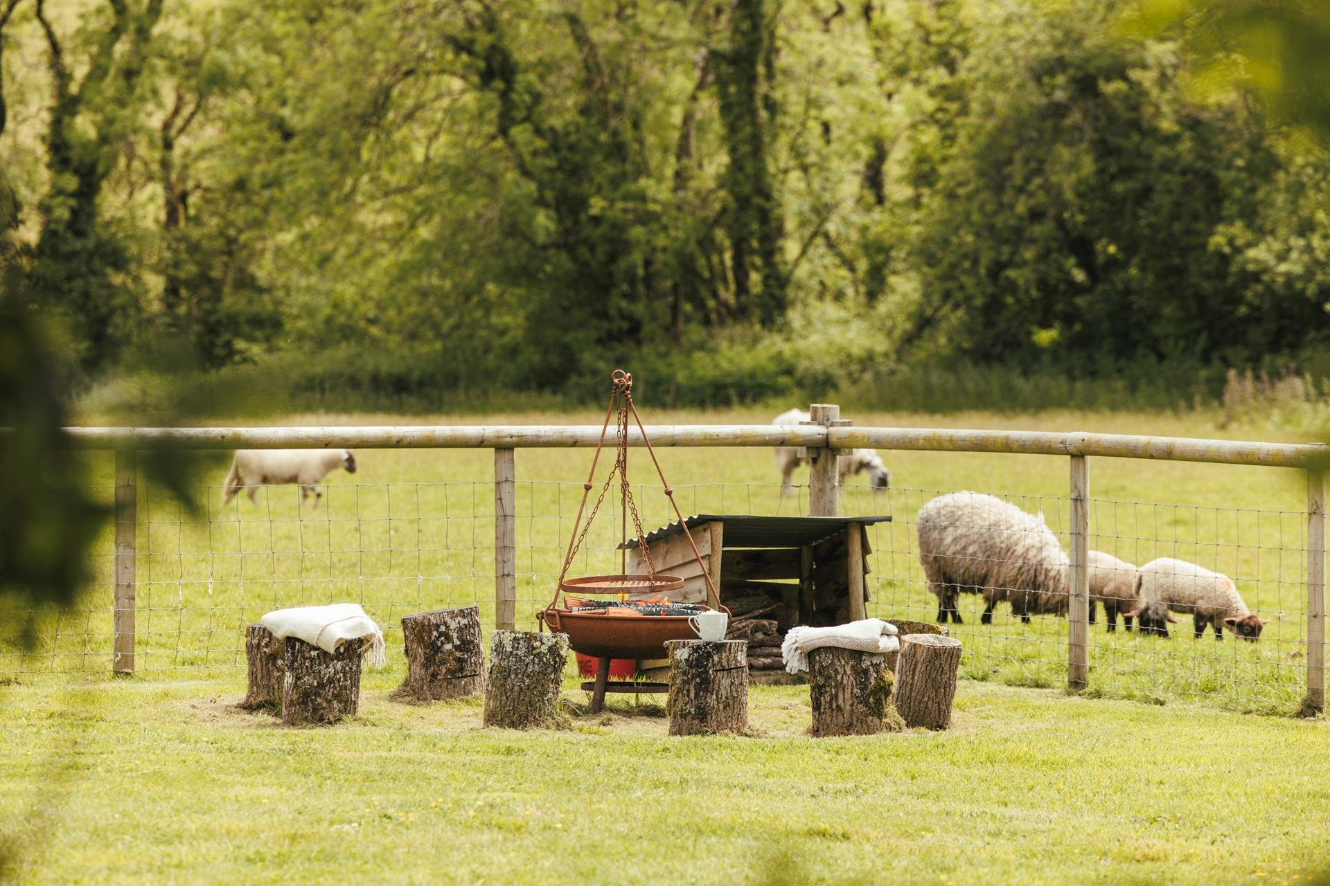 Head down to the fire-pit area - the perfect spot for star gazing!