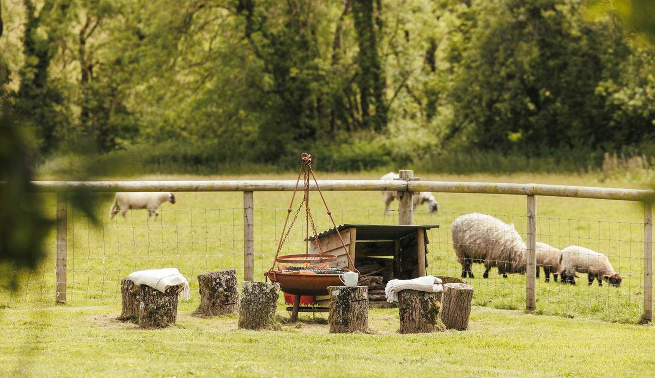 Head down to the fire-pit area - the perfect spot for star gazing!