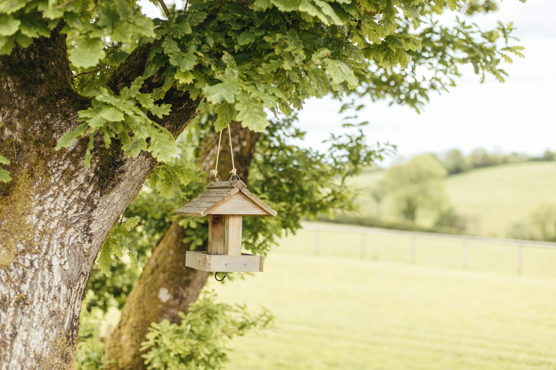 Nature is all around when at Wootton Lodge.