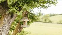 Nature is all around when at Wootton Lodge.